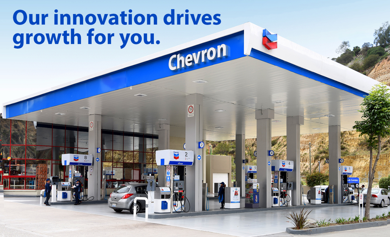 Chevron innovation Chevron Canopy